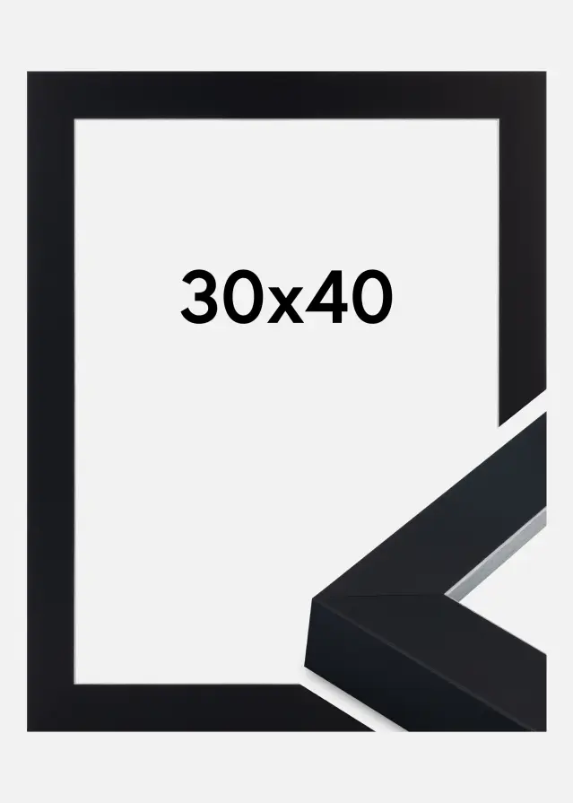 Jämtlands Ramfabrik Fotolijst Sussex Acrylglas Zwart/Zilver 30x40 cm
