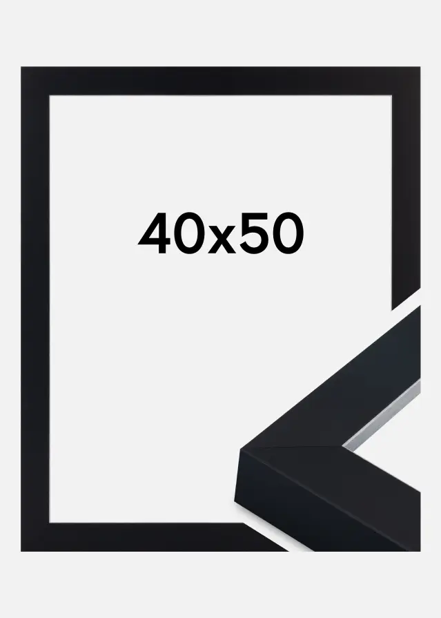 Jämtlands Ramfabrik Fotolijst Sussex Acrylglas Zwart/Zilver 40x50 cm