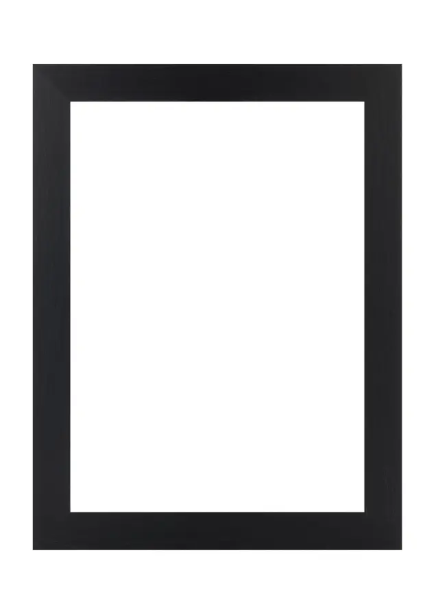 Jämtlands Ramfabrik Fotolijst Wells Acrylglas Zwart 30x45 cm