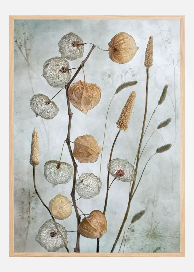Bildverkstad Lanterns* Poster