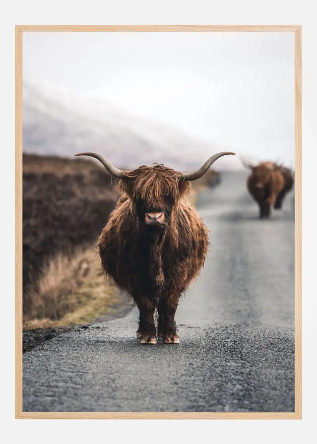 Bildverkstad Cow Poster