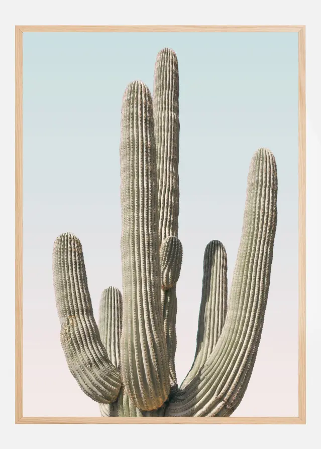 Bildverkstad Saguaro Poster