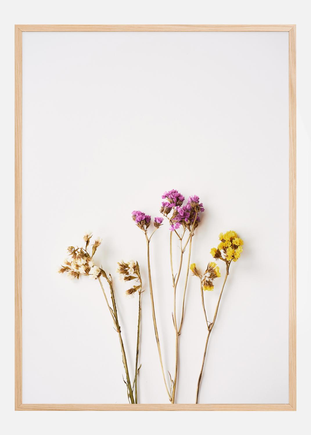 Product Image for Dried flowers I Poster (21x29.7 cm (A4))