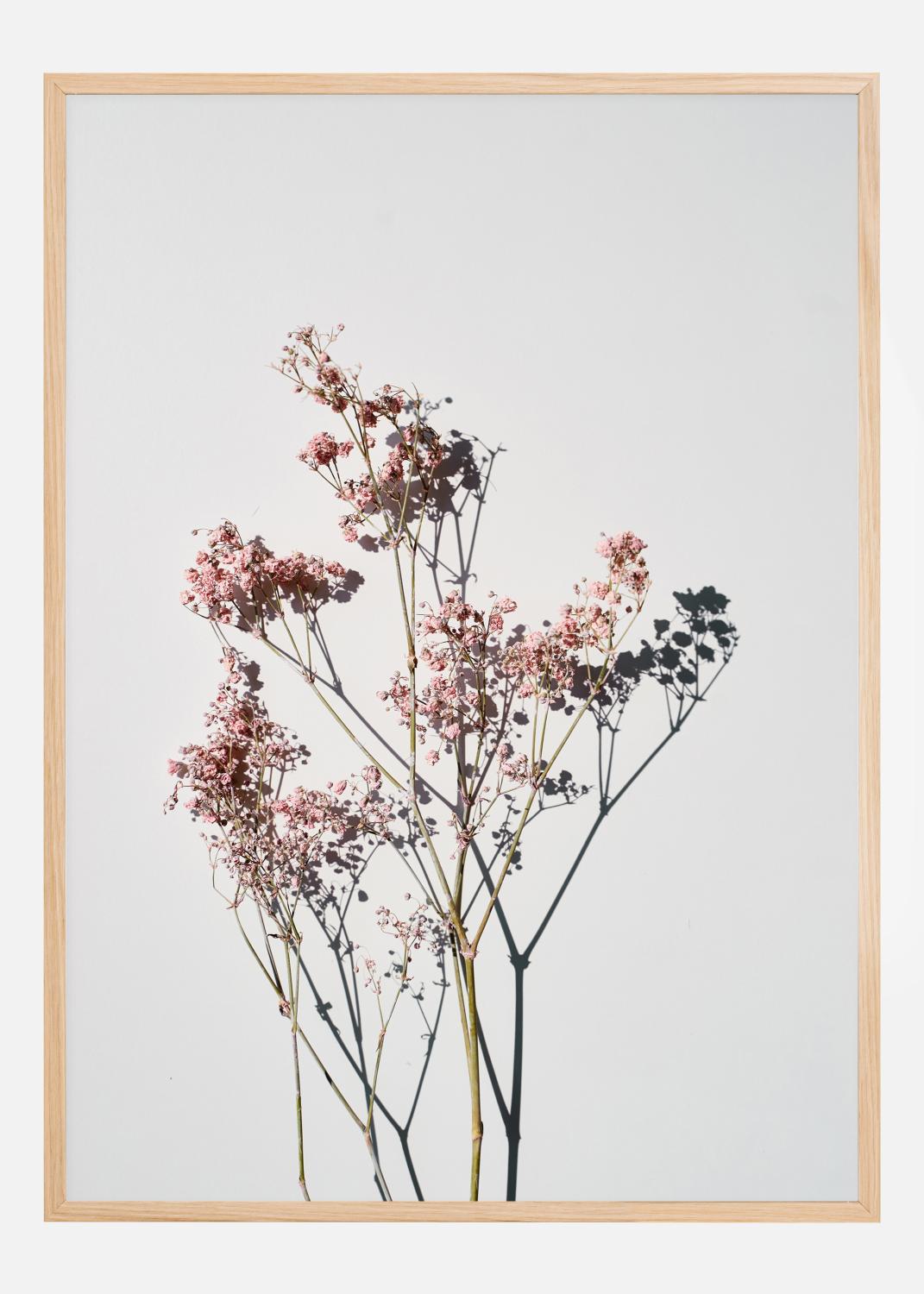 Product Image for Dried flowers II Poster (21x29.7 cm (A4))