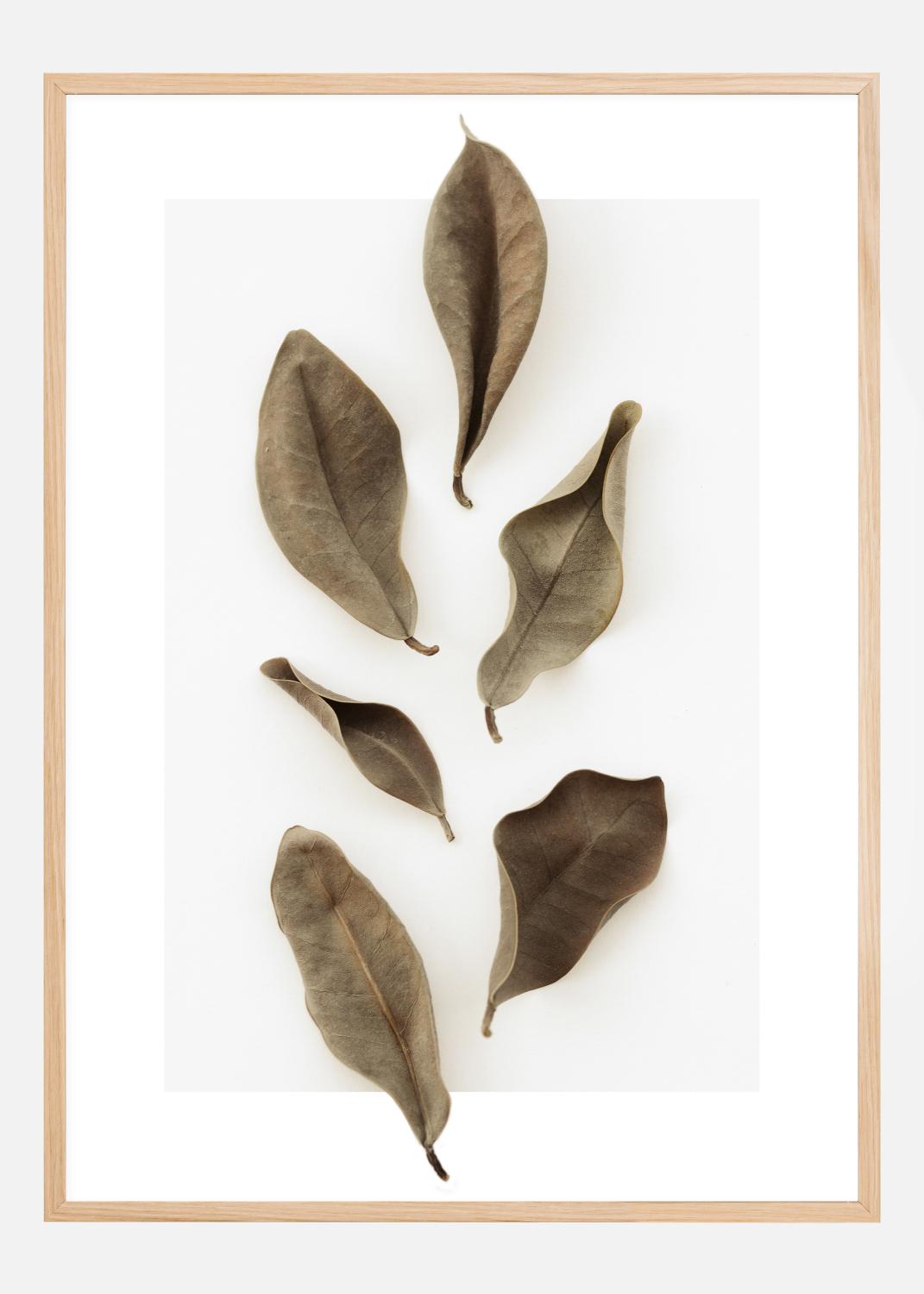 Product Image for Dried Leaves Poster (21x29.7 cm (A4))