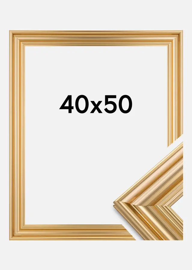 Focus Fotolijst Charleston Goud 40x50 cm