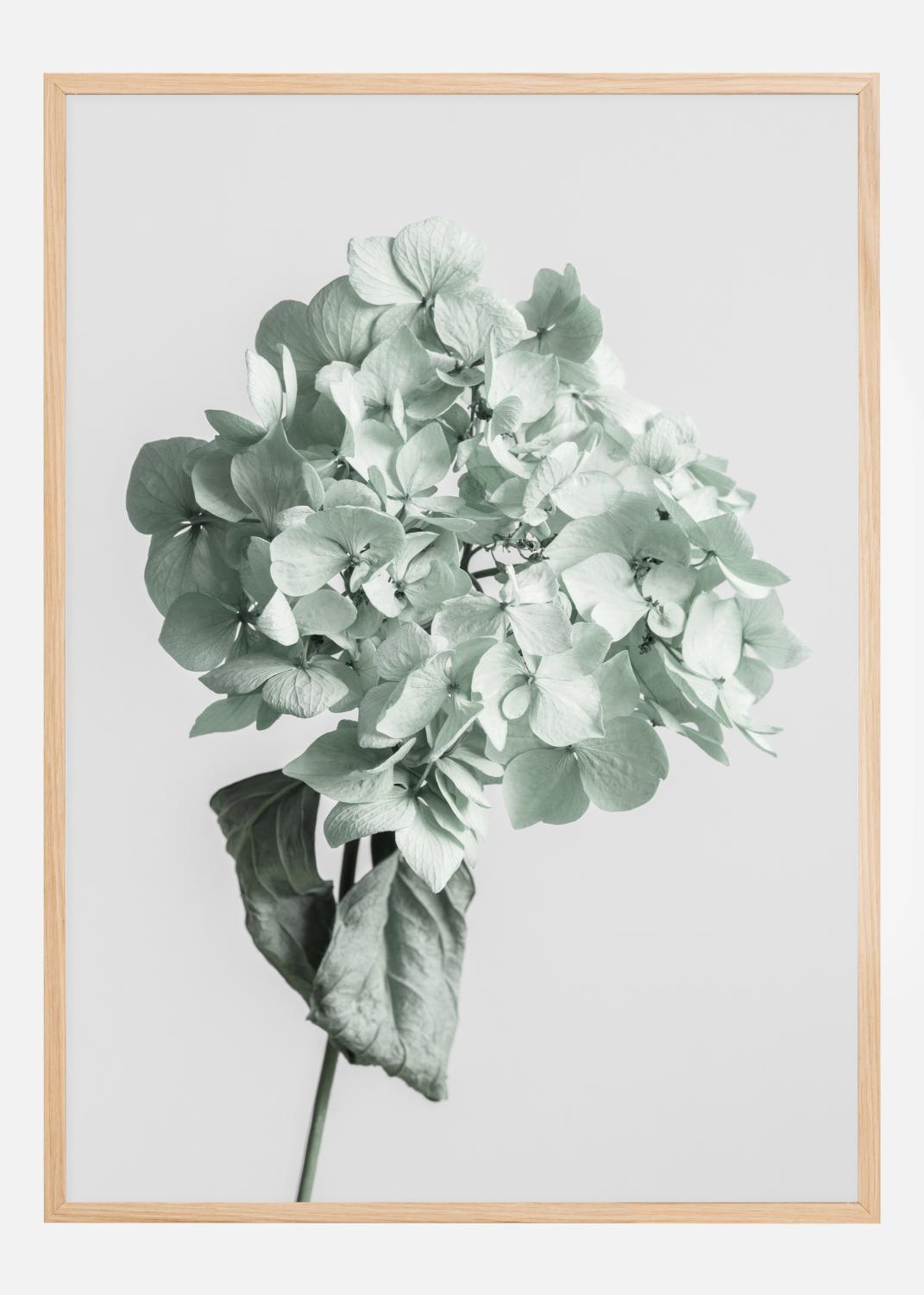 Product Image for Green Dried Flower Poster (21x29.7 cm (A4))