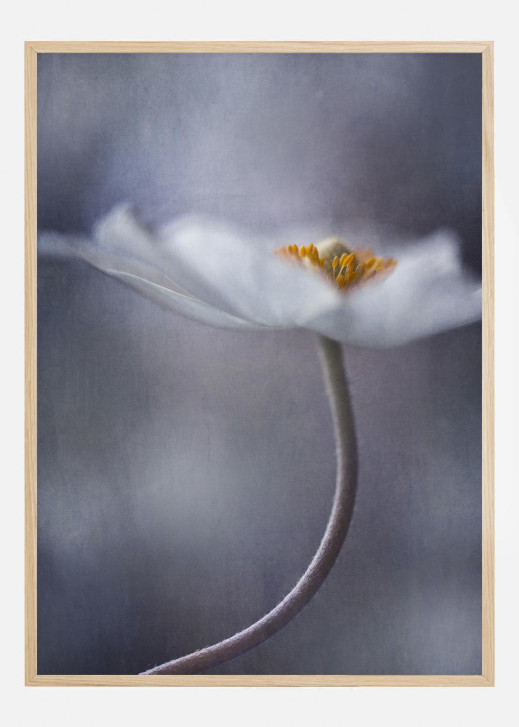 Product Image for The Beauty Within Poster (30x40 cm)