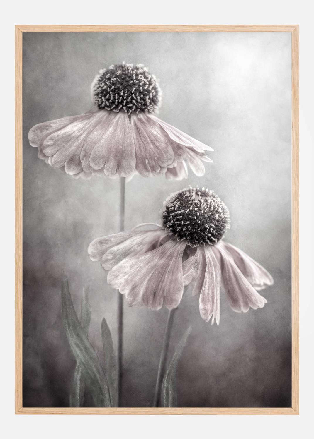 Product Image for Duet Poster (21x29.7 cm (A4))