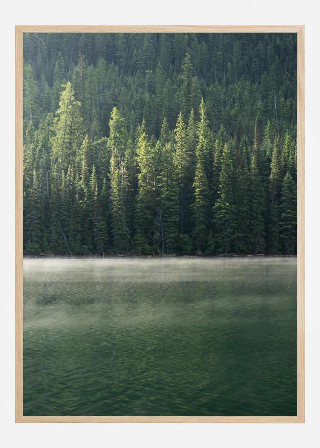 Product Image for Green Forest Poster (21x29.7 cm (A4))