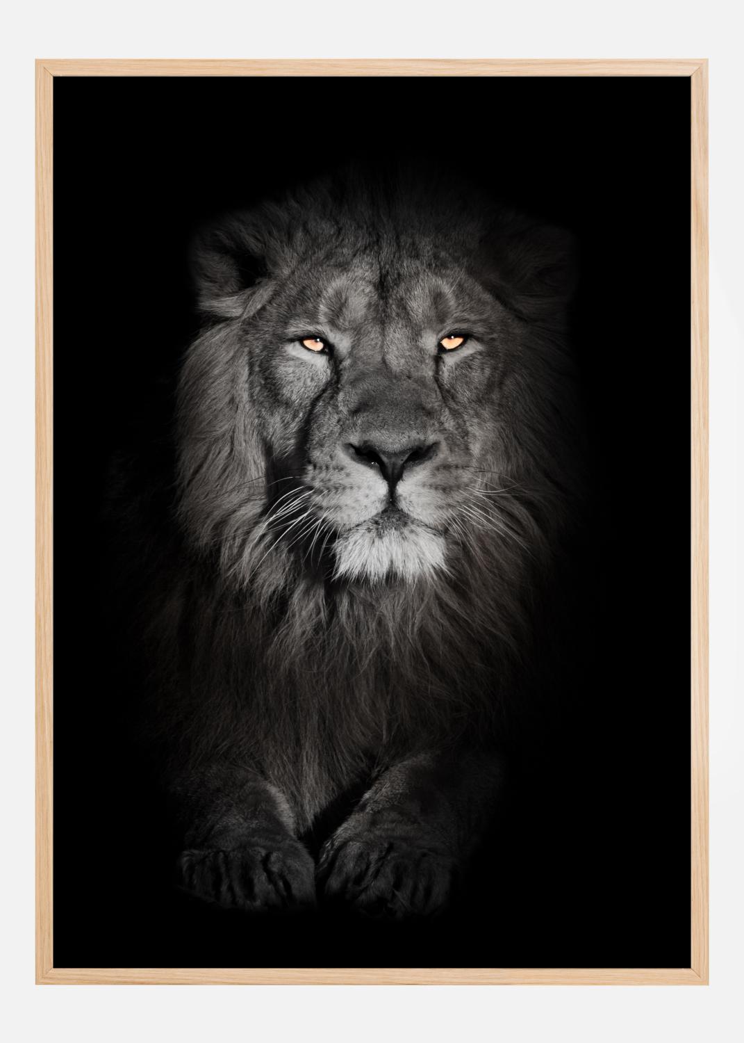 Product Image for Lion in black and white Poster (21x29.7 cm (A4))
