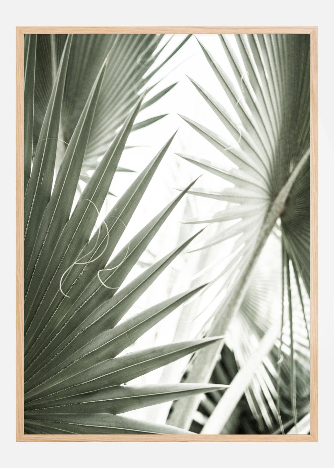 Product Image for Green Leaves Poster (21x29.7 cm (A4))