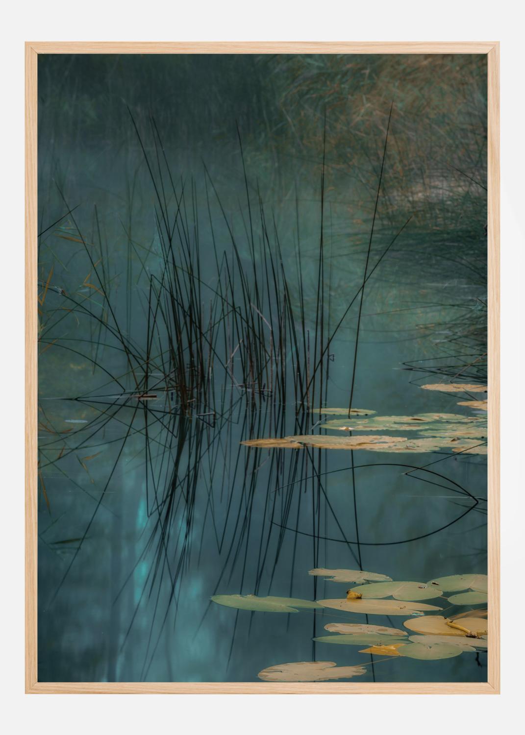 Product Image for Aqua Poster (30x40 cm)