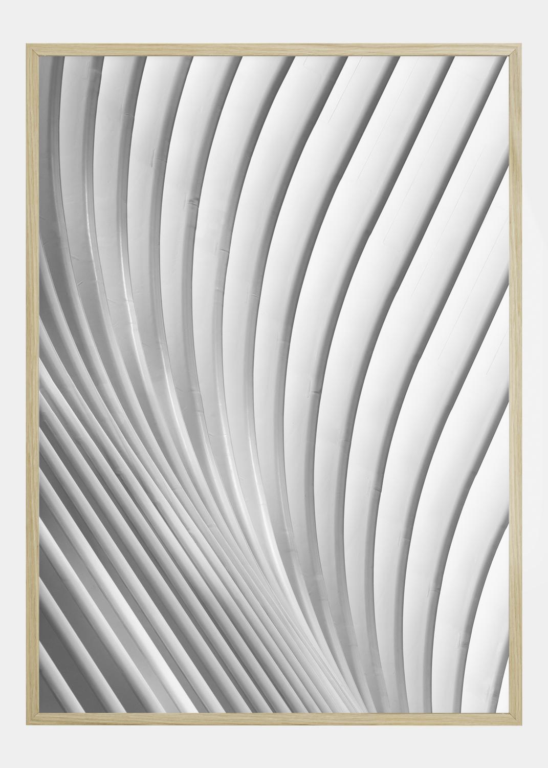 Product Image for Calatrava Lines Poster (70x100 cm)