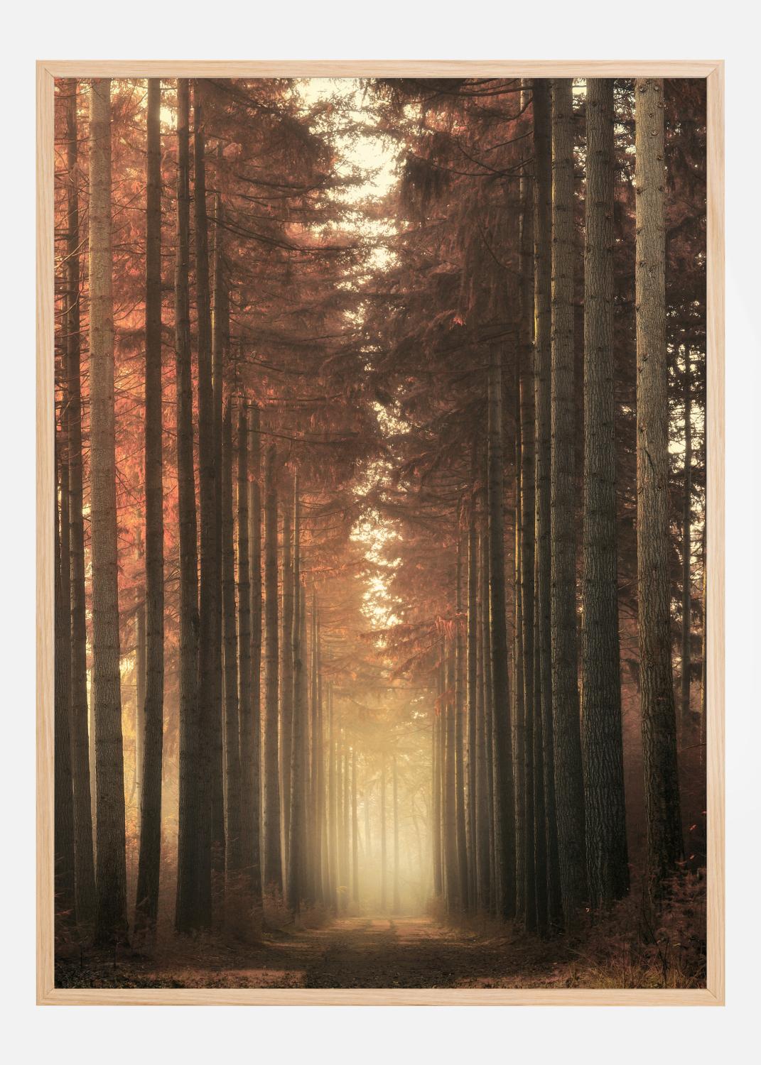 Product Image for Light Burning Poster (21x29.7 cm (A4))