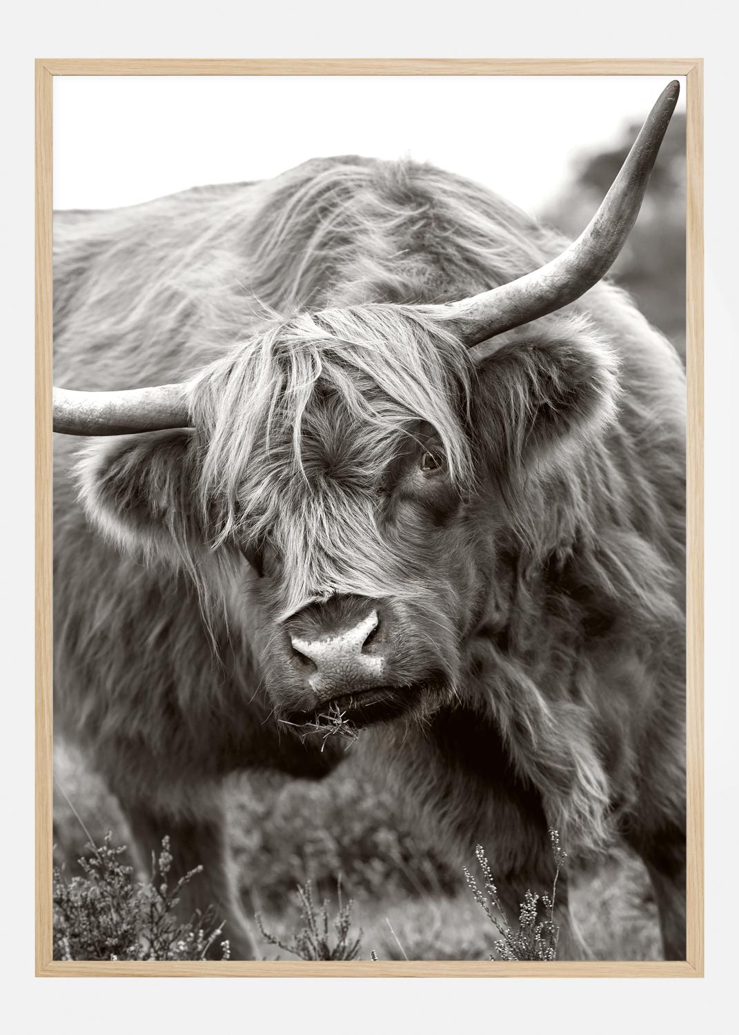 Product Image for The Bull Poster (30x40 cm)