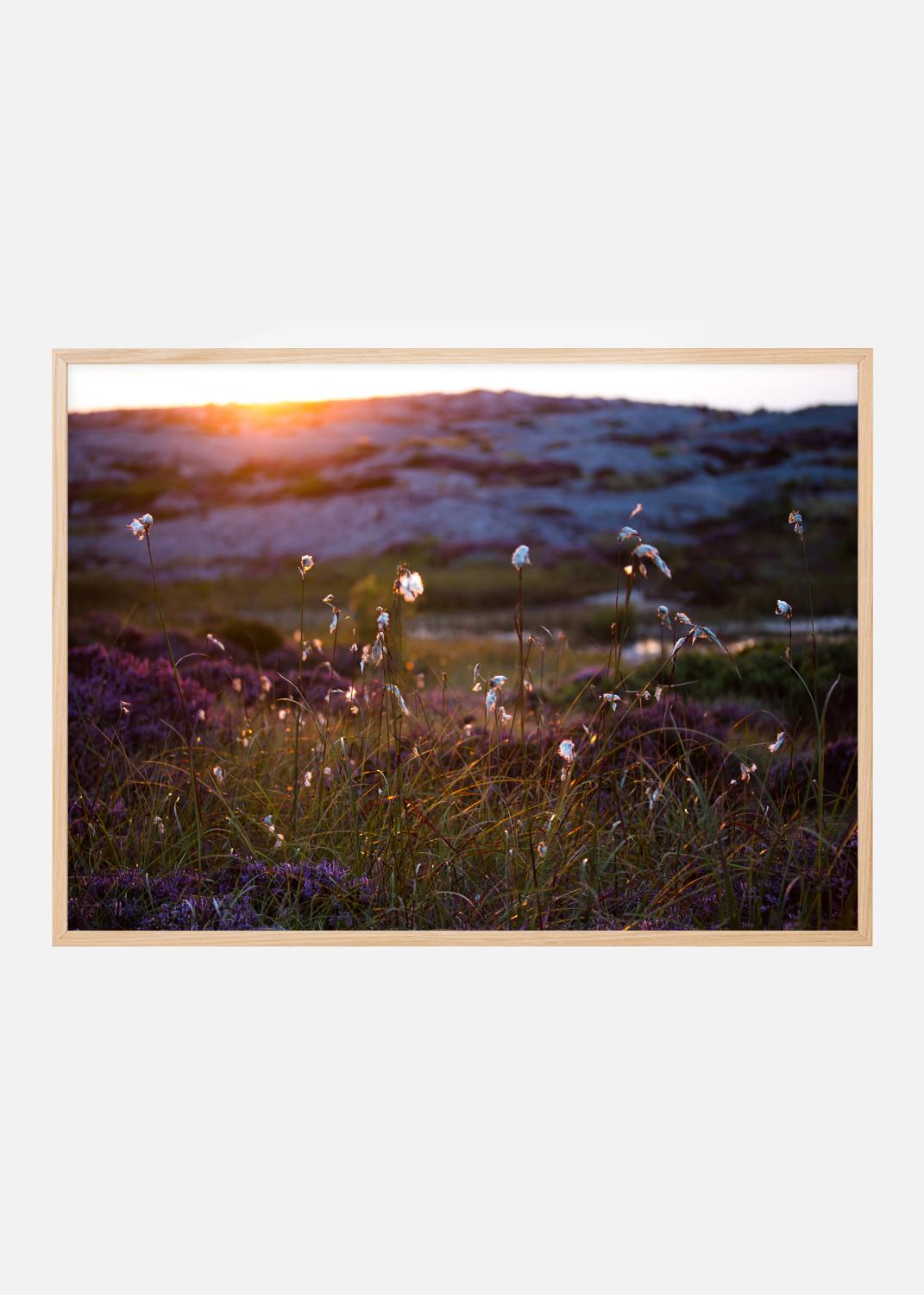 Product Image for Summer evening on the rocks Poster (21x29,7 cm (A4))