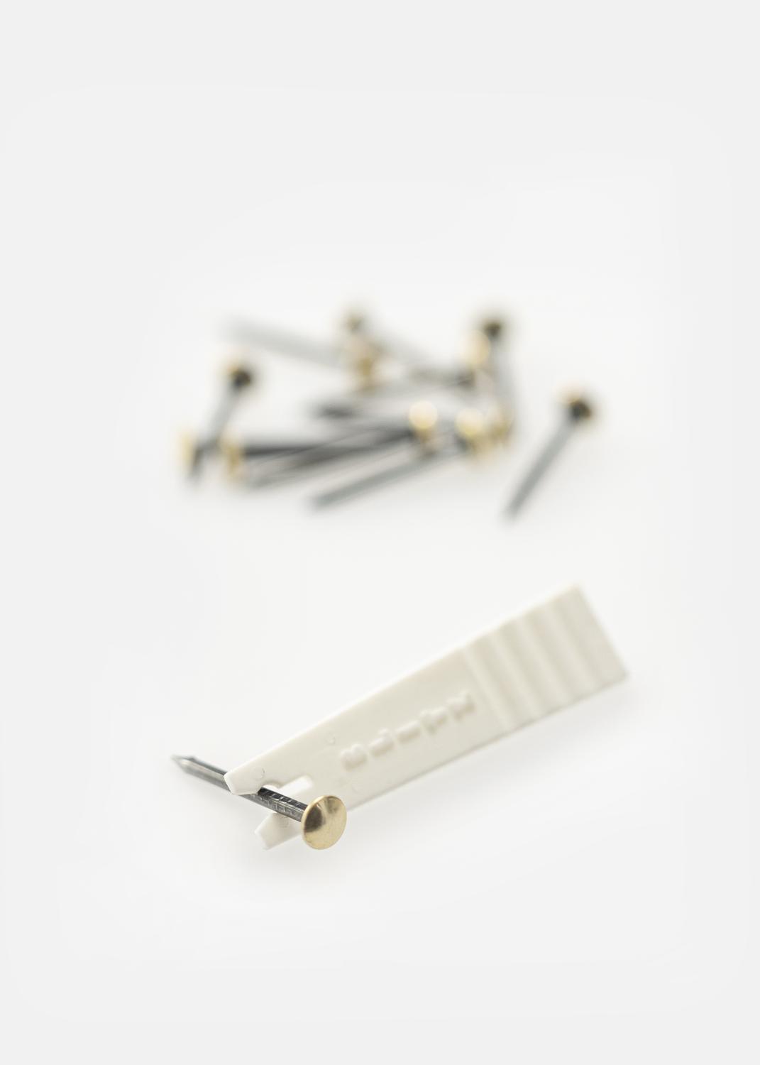 Product Image for Messingspijkers + houder 12 st.