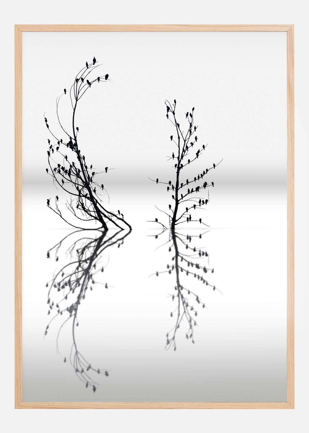 Product Image for Dreamland 03 Poster (21x29.7 cm (A4))