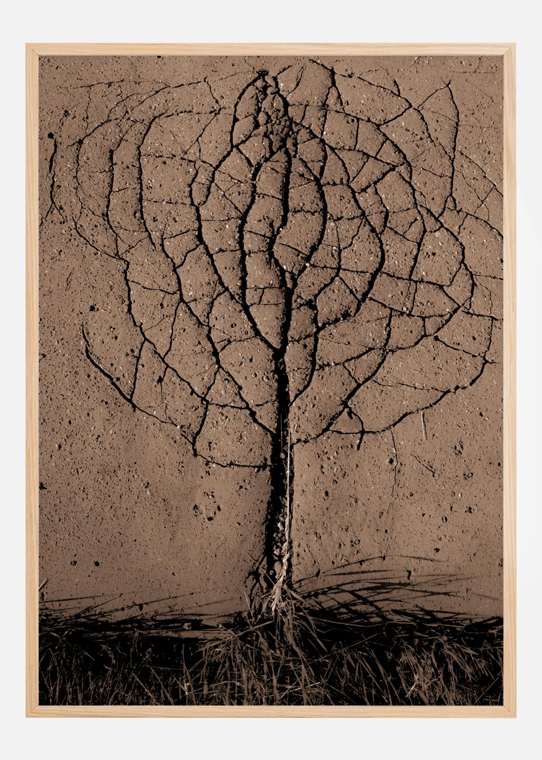 Product Image for Asphalt Tree Poster (21x29.7 cm (A4))