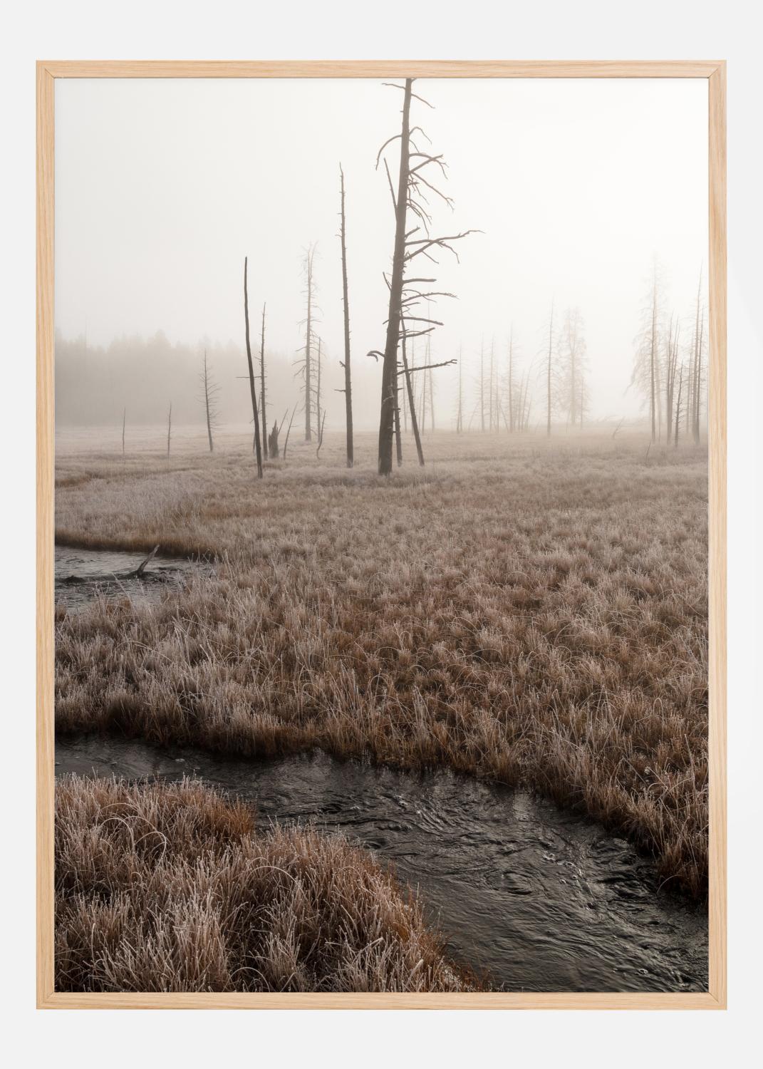 Product Image for Early Morning Poster (21x29.7 cm (A4))
