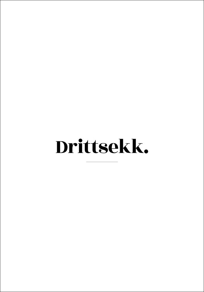 Bildverkstad Citaat - Skam - Drittsekk - Wit Poster