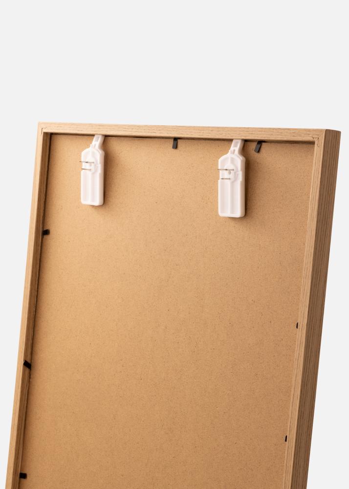 BOLD Innovations Schilderijhaak voor elke muur - Bold Schilderijhaak 2-p