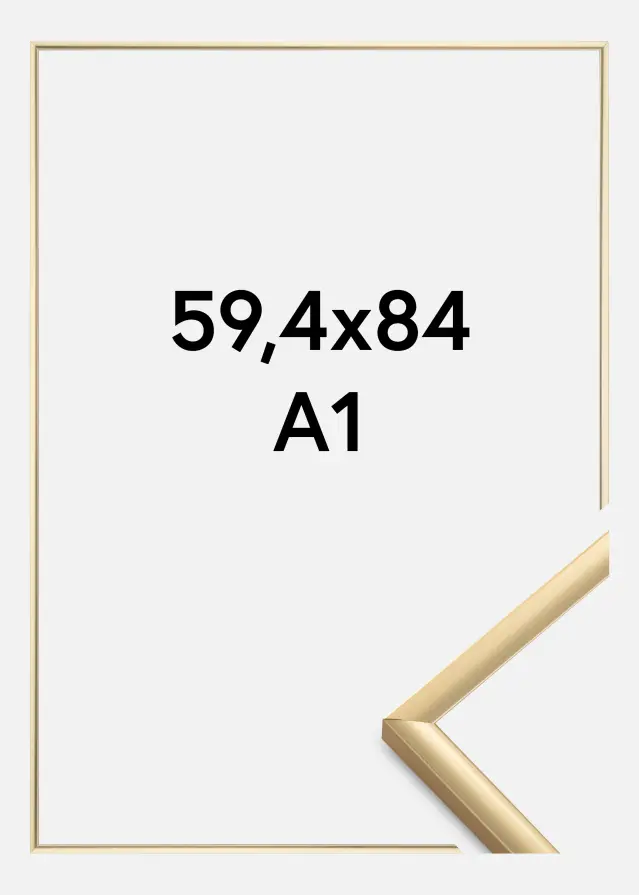 Walther Fotolijst New Lifestyle Acrylglas Goud 59,4x84 cm (A1)