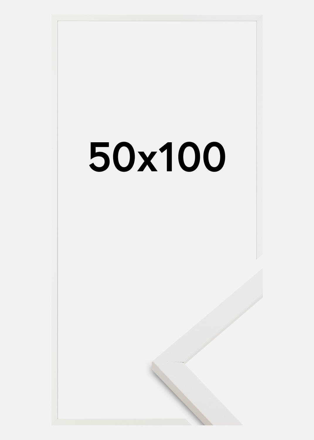 Product Image for Fotolijst Trendy Acrylglas Wit 50x100 cm