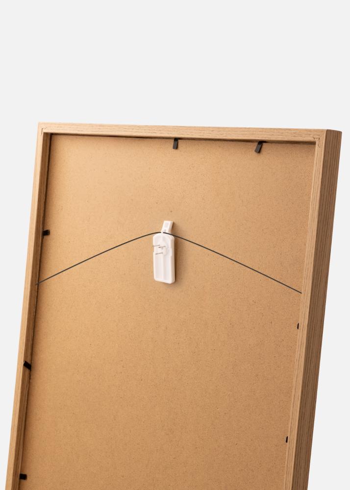 BOLD Innovations Schilderijhaak voor elke muur - Bold Schilderijhaak 2-p