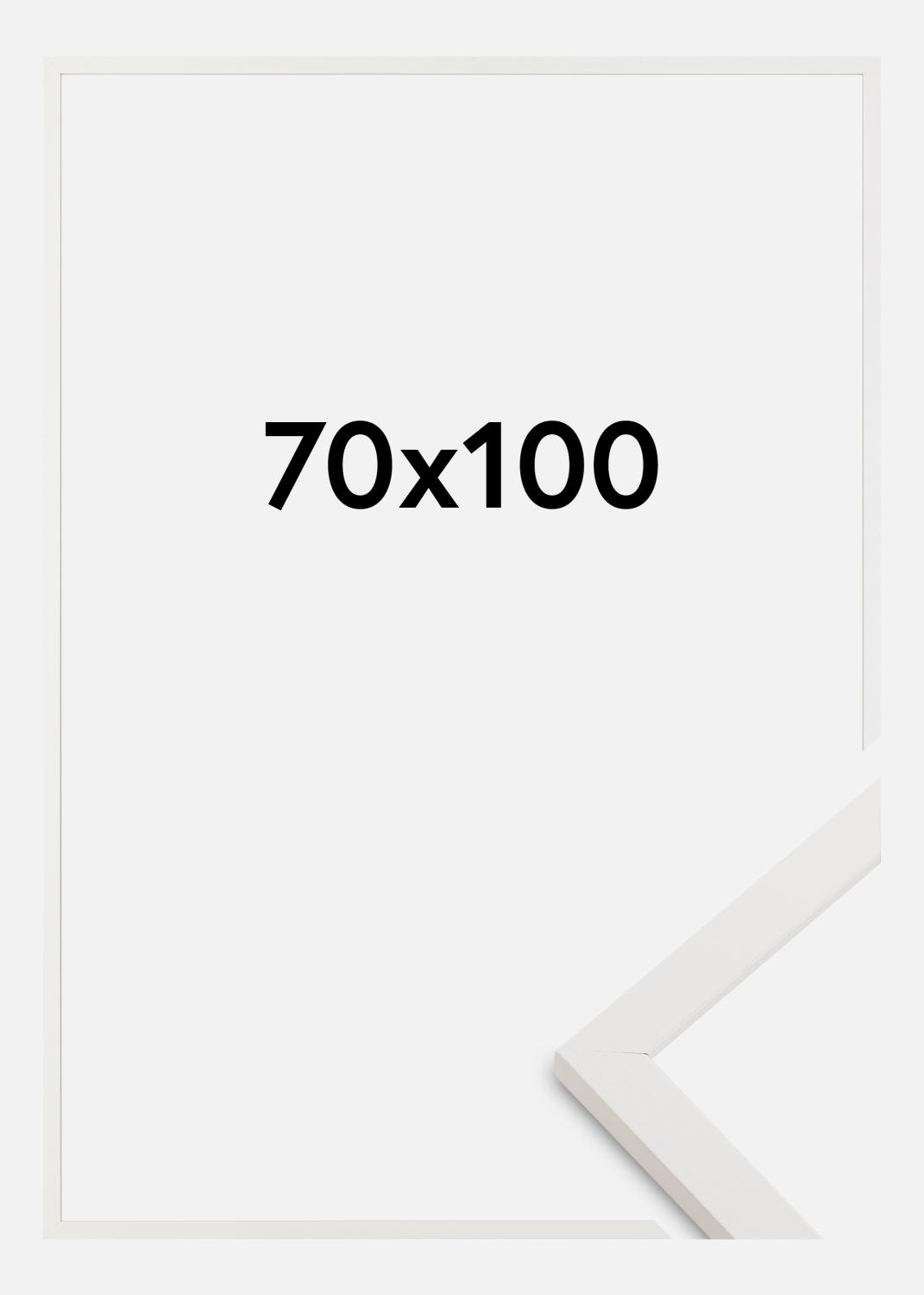 Product Image for Fotolijst Trendy Acrylglas Wit 70x100 cm