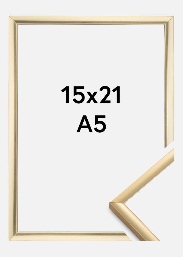 Walther Fotolijst New Lifestyle Goud 15x21 cm (A5)