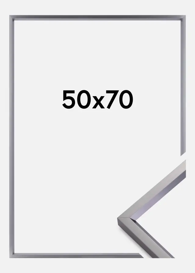 Walther Fotolijst Steel Style Staal 50x70 cm