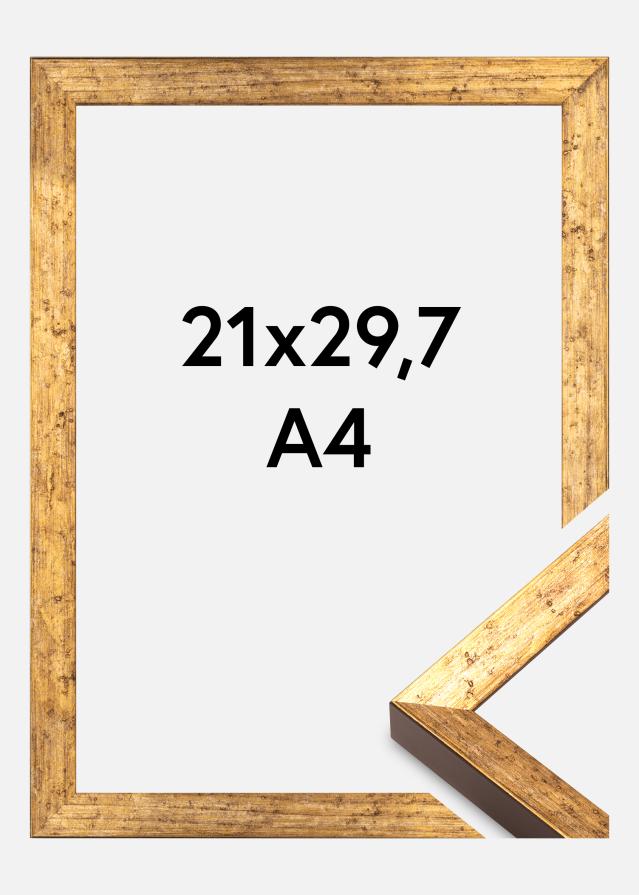 Jämtlands Ramfabrik Fotolijst Dune Acrylglas Goud 21x29,7 cm (A4)