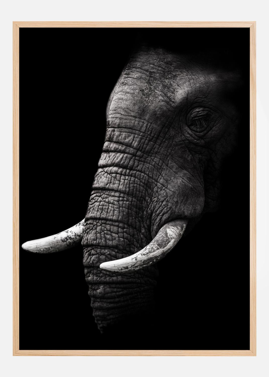 Product Image for Portrait Elephant Poster (21x29.7 cm (A4))