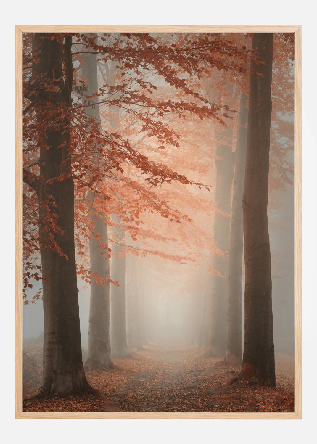 Product Image for Autumn Dream Poster (21x29.7 cm (A4))