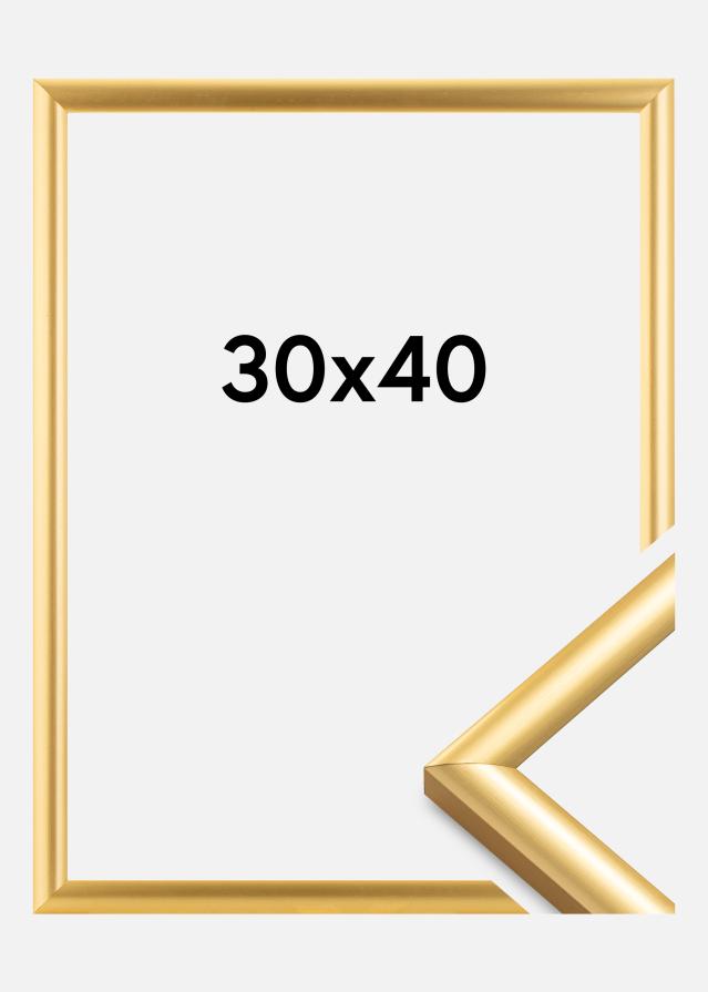 Walther Fotolijst Trendstyle Goud 30x40 cm