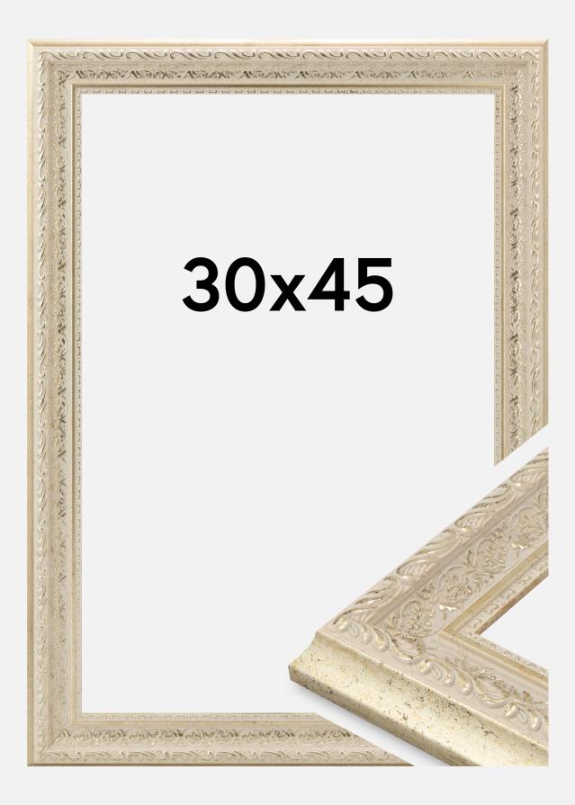Jämtlands Ramfabrik Fotolijst Toro Acrylglas Sand 30x45 cm