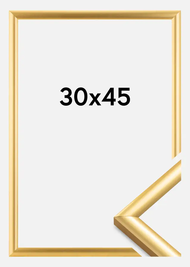 Walther Fotolijst Trendstyle Goud 30x45 cm
