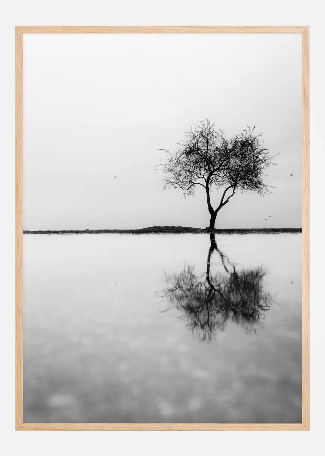 Product Image for Lonely Tree Reflection Poster (21x29.7 cm (A4))