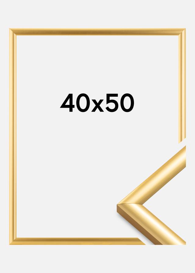 Walther Fotolijst Trendstyle Goud 40x50 cm
