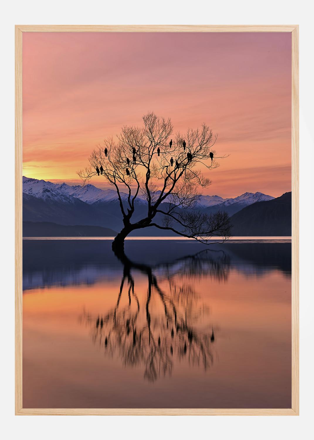 Product Image for Lone Tree Is Not Lonely Poster (21x29.7 cm (A4))