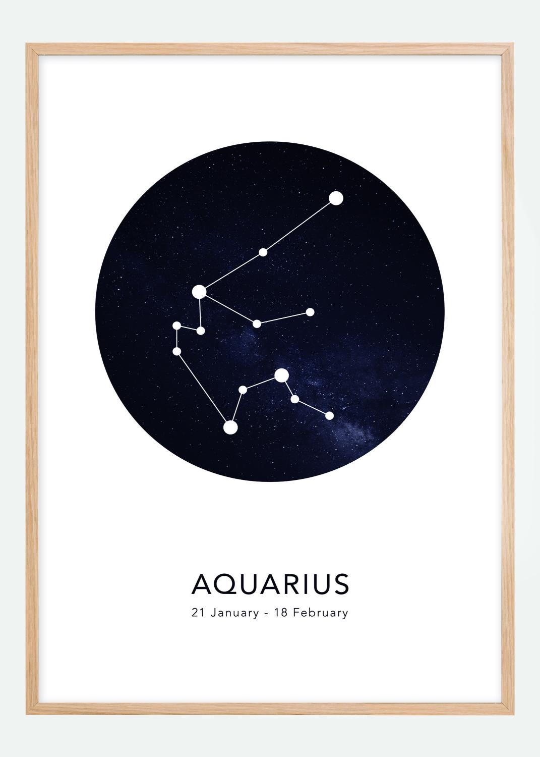 Product Image for Aquarius Poster (21x29,7 cm (A4))