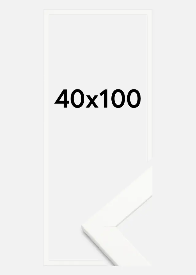 Artlink Fotolijst Trendline Acrylglas Wit 40x100 cm