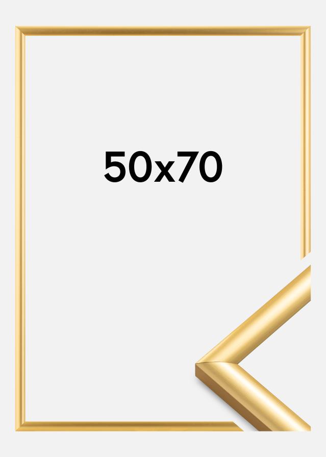 Walther Fotolijst Trendstyle Goud 50x70 cm