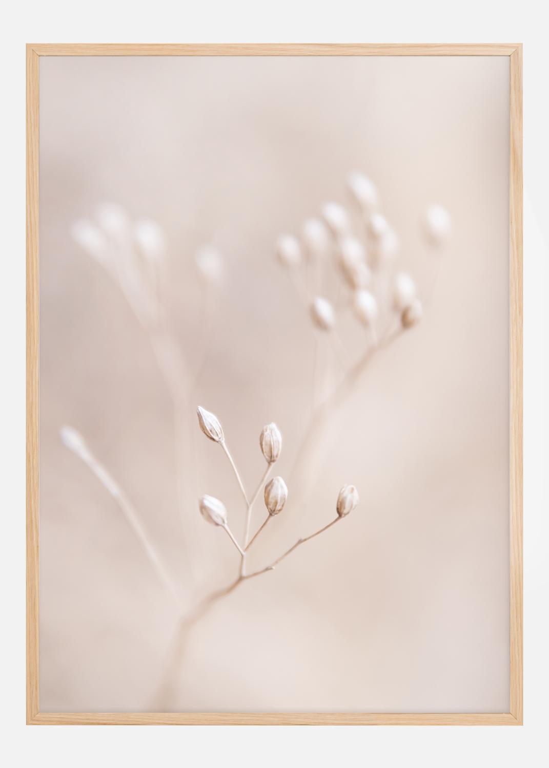 Product Image for Close up Straw Poster (21x29.7 cm (A4))