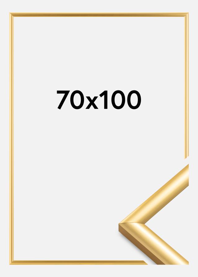 Walther Fotolijst Trendstyle Goud 70x100 cm