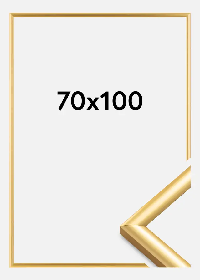 Walther Fotolijst Trendstyle Goud 70x100 cm