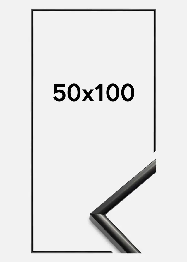 Walther Fotolijst New Lifestyle Zwart 50x100 cm