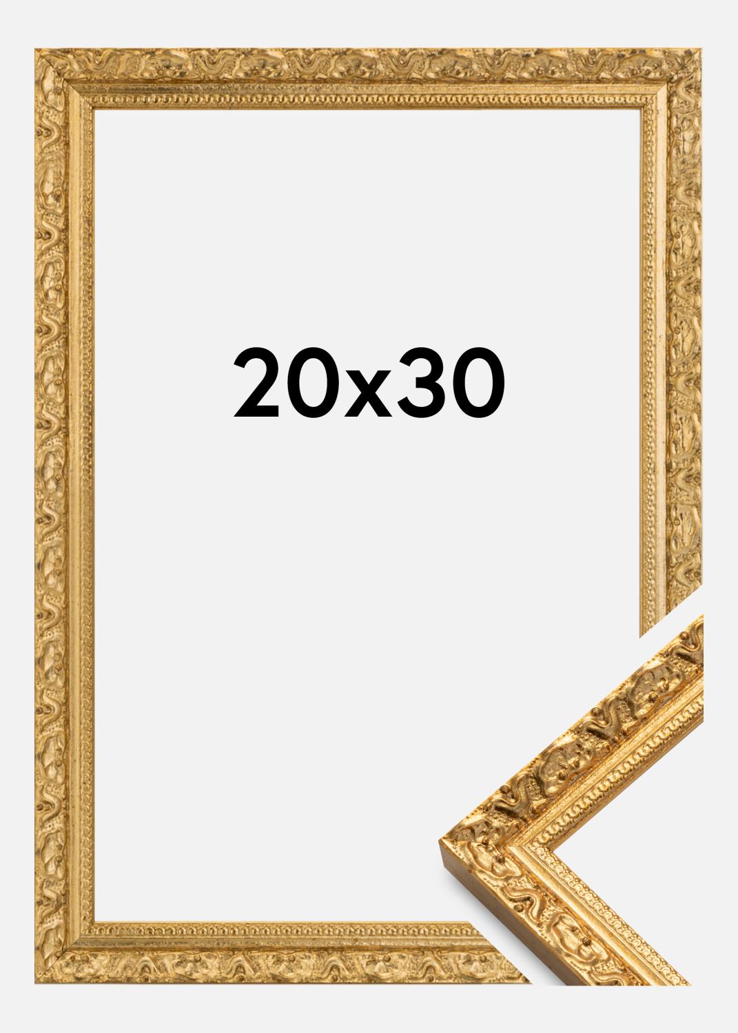 Product Image for Fotolijst Smith Goud 20x30 cm